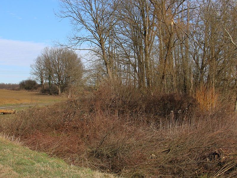 preostali dio za čišćenje uz nerazvrstani put prema polju