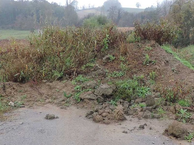 Brezine - Janja Lipa