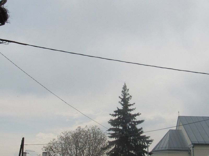 Poljana, Varoška ulica