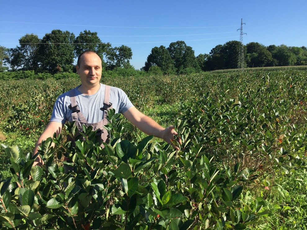 Foto: Compas.hr arhiva