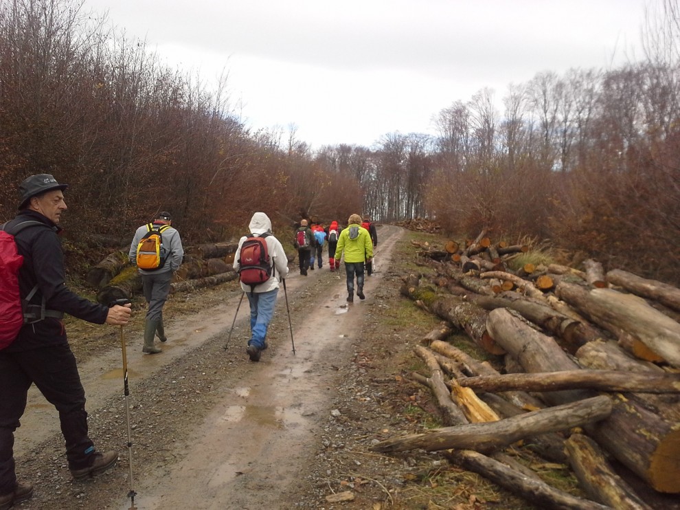 izvor fotografije: Zoran Milaković