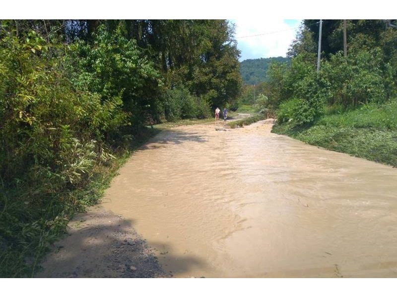 Kovačevac (3.8.2018.)