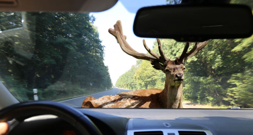 Foto: rtl.hr